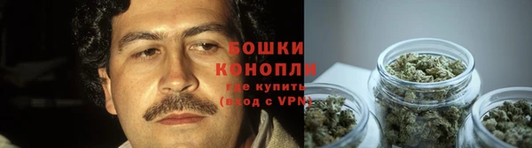 круглые Ельня