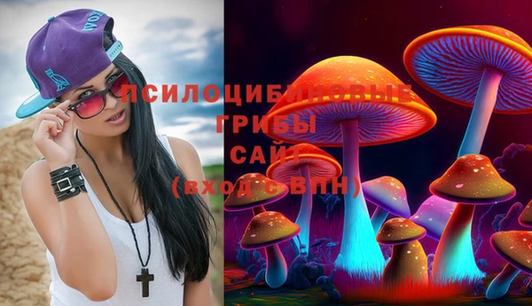 бошки Елабуга
