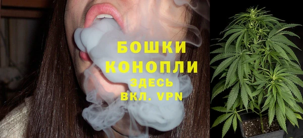 бошки Елабуга