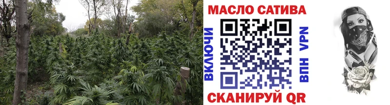 Купить где  Острогожск  ТГК гашишное масло 